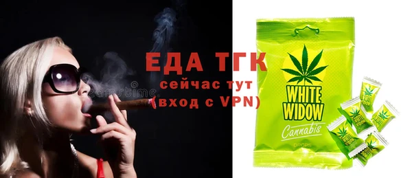 индика Алексин