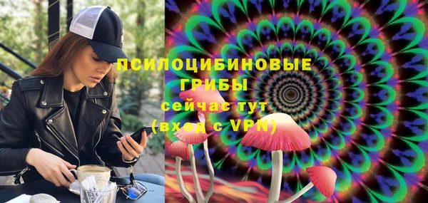МДПВ Алексеевка