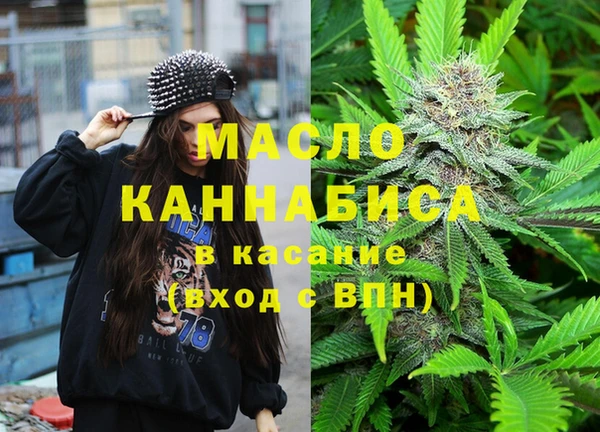 индика Алексин
