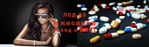 индика Алексин