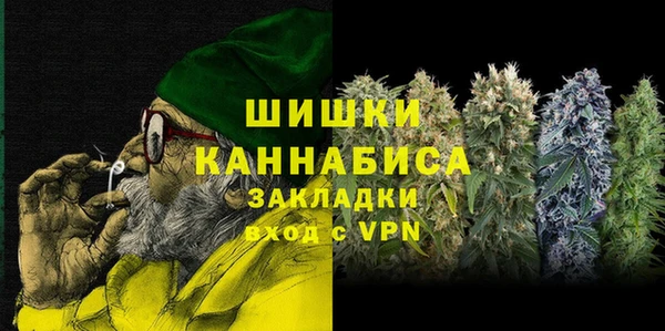 гидра Ельня