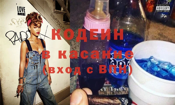 индика Алексин