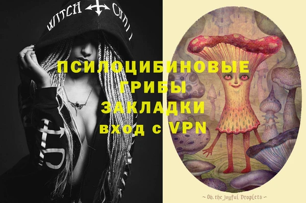ECSTASY Алзамай