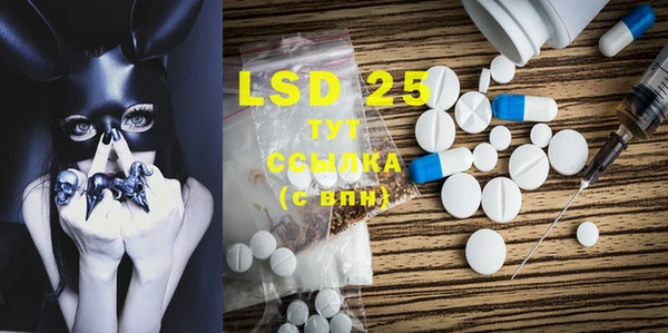 ECSTASY Алзамай