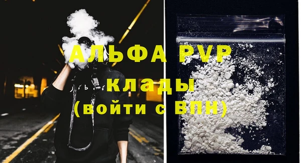 индика Корсаков