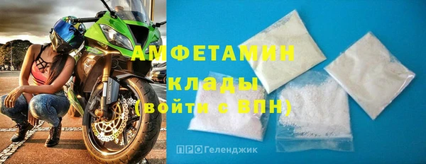 индика Алексин