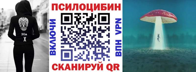 цены наркотик  Сорочинск  Псилоцибиновые грибы прущие грибы 