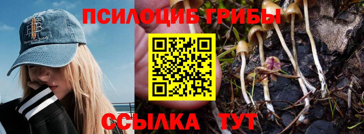 Сорочинск  Галлюциногенные грибы прущие грибы  Вход с VPN 