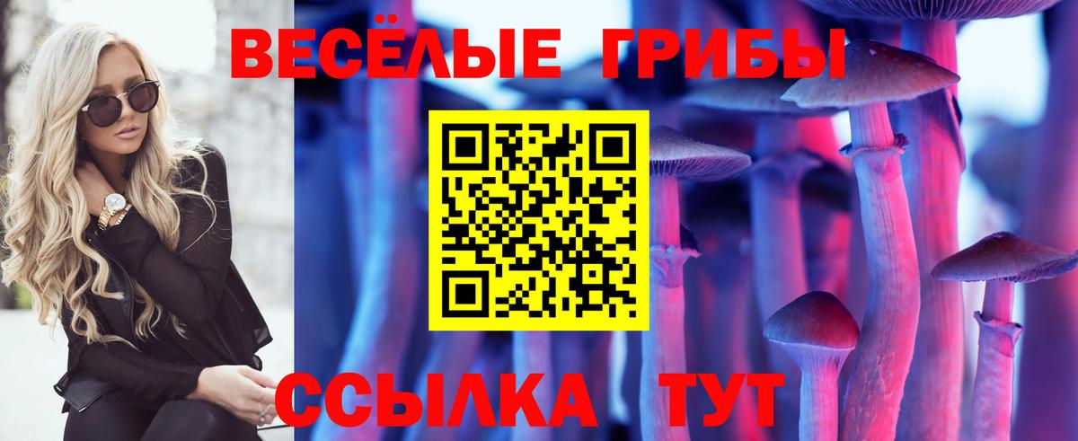 Галлюциногенные грибы GOLDEN TEACHER Сорочинск